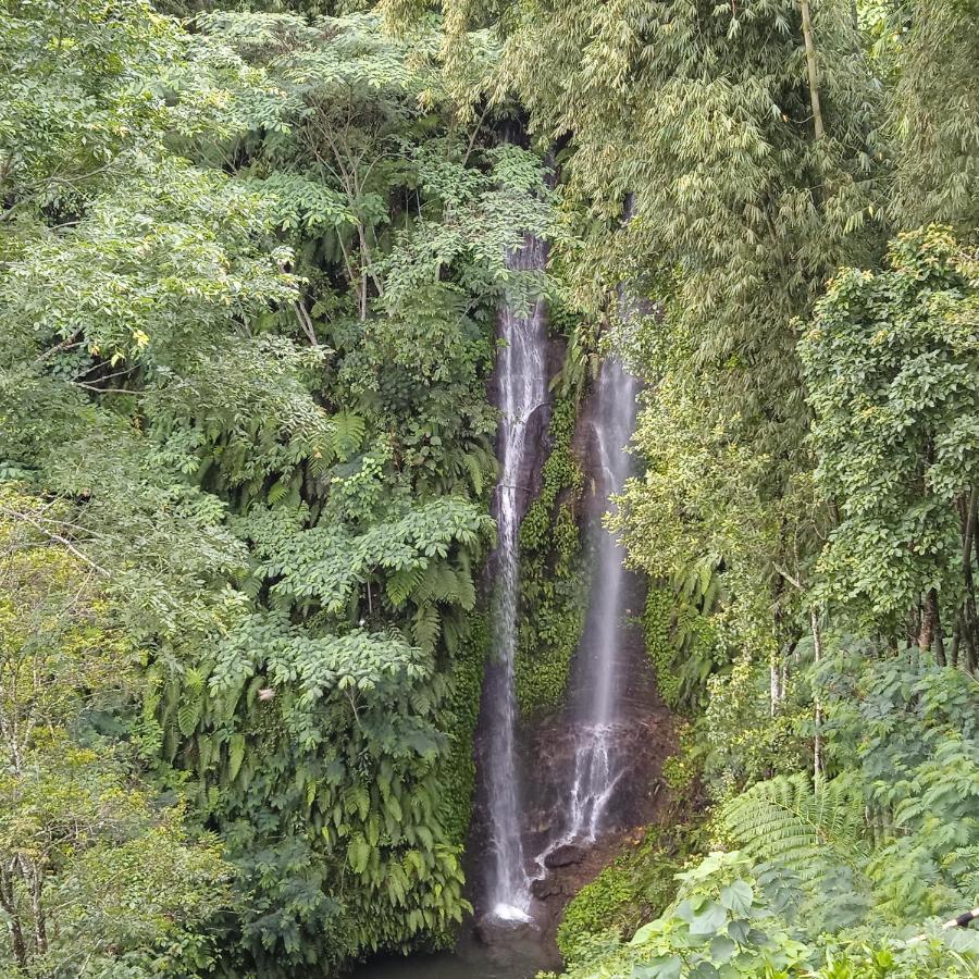 Munduk Tutub Waterfall View Dış mekan fotoğraf
