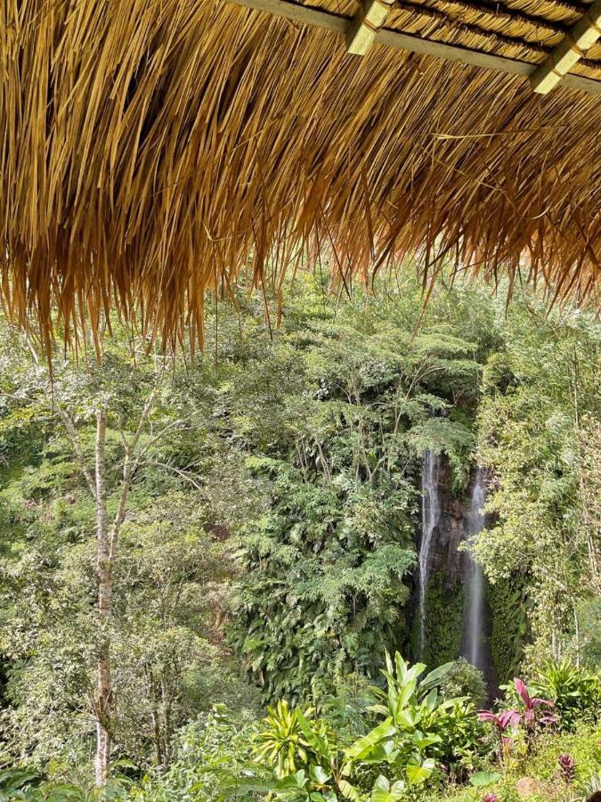 Munduk Tutub Waterfall View Dış mekan fotoğraf
