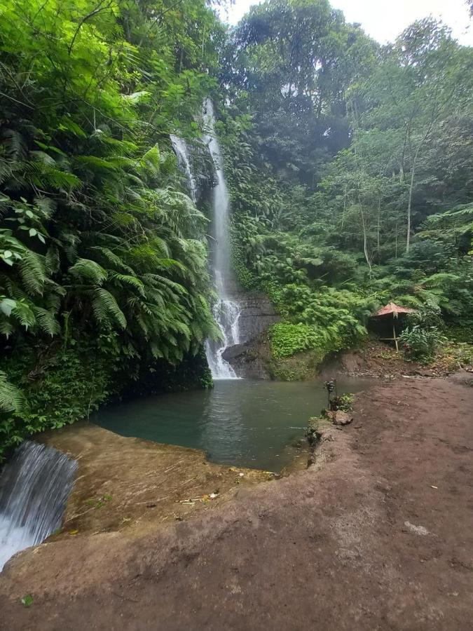 Munduk Tutub Waterfall View Dış mekan fotoğraf