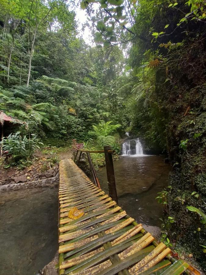 Munduk Tutub Waterfall View Dış mekan fotoğraf