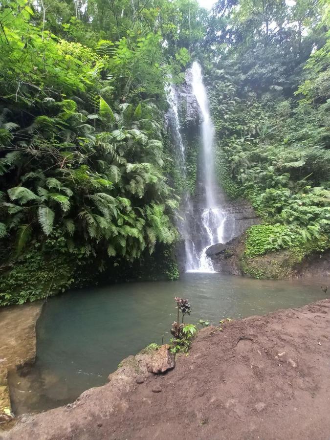 Munduk Tutub Waterfall View Dış mekan fotoğraf