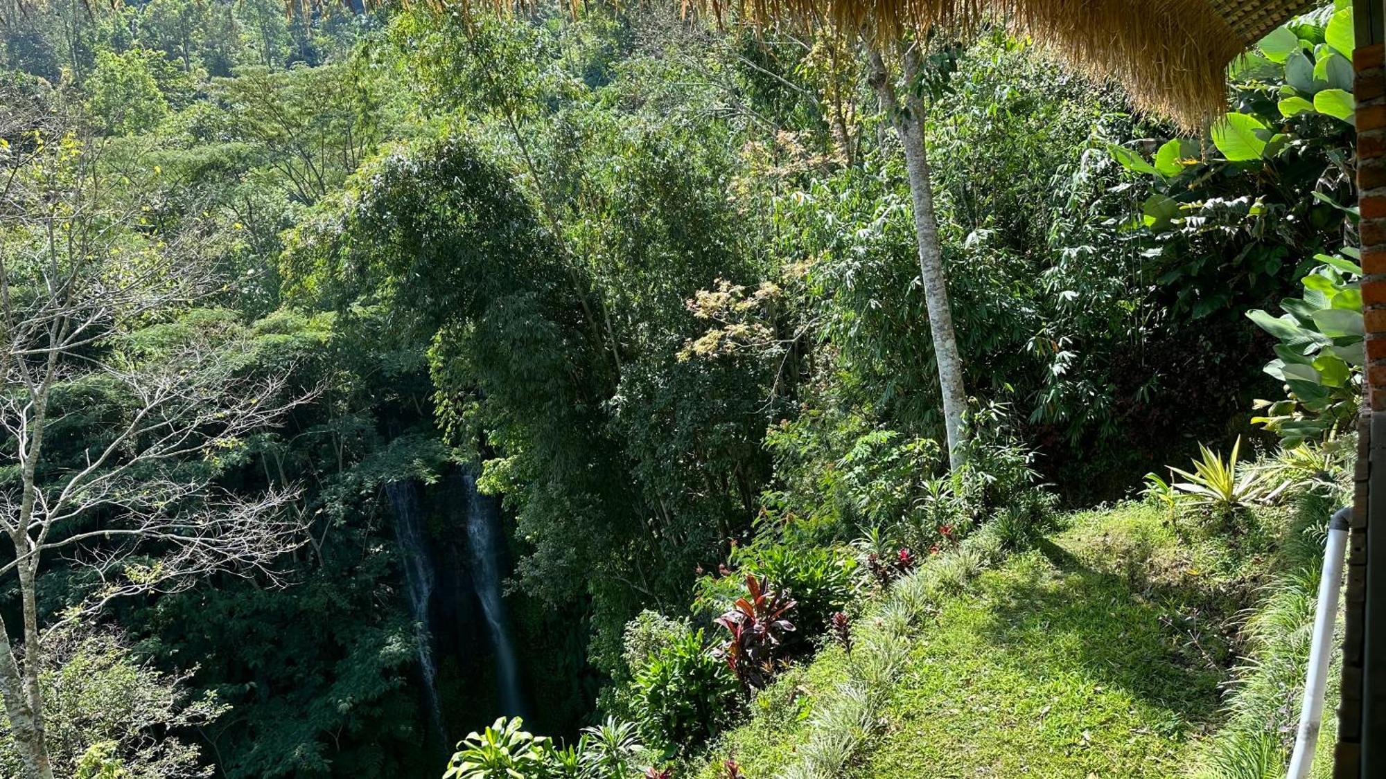 Munduk Tutub Waterfall View Dış mekan fotoğraf